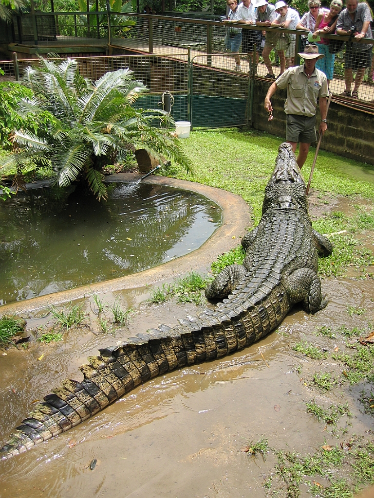 128 Cairns Tropical Zoo.jpg